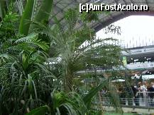 [P21] Madrid - Gradina tropicala din sala de asteptare a Garii Atocha. » foto by iulianic
 - 
<span class="allrVoted glyphicon glyphicon-heart hidden" id="av318251"></span>
<a class="m-l-10 hidden" id="sv318251" onclick="voting_Foto_DelVot(,318251,2442)" role="button">șterge vot <span class="glyphicon glyphicon-remove"></span></a>
<a id="v9318251" class=" c-red"  onclick="voting_Foto_SetVot(318251)" role="button"><span class="glyphicon glyphicon-heart-empty"></span> <b>LIKE</b> = Votează poza</a> <img class="hidden"  id="f318251W9" src="/imagini/loader.gif" border="0" /><span class="AjErrMes hidden" id="e318251ErM"></span>