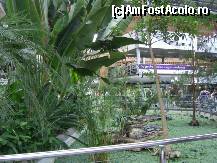 [P22] Madrid - Gradina tropicala din sala de asteptare a Garii Atocha. » foto by iulianic
 - 
<span class="allrVoted glyphicon glyphicon-heart hidden" id="av318252"></span>
<a class="m-l-10 hidden" id="sv318252" onclick="voting_Foto_DelVot(,318252,2442)" role="button">șterge vot <span class="glyphicon glyphicon-remove"></span></a>
<a id="v9318252" class=" c-red"  onclick="voting_Foto_SetVot(318252)" role="button"><span class="glyphicon glyphicon-heart-empty"></span> <b>LIKE</b> = Votează poza</a> <img class="hidden"  id="f318252W9" src="/imagini/loader.gif" border="0" /><span class="AjErrMes hidden" id="e318252ErM"></span>