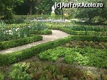 [P10] Gradina cu legume care-ti faceau o pofta de salata... » foto by alinaro
 - 
<span class="allrVoted glyphicon glyphicon-heart hidden" id="av325436"></span>
<a class="m-l-10 hidden" id="sv325436" onclick="voting_Foto_DelVot(,325436,2442)" role="button">șterge vot <span class="glyphicon glyphicon-remove"></span></a>
<a id="v9325436" class=" c-red"  onclick="voting_Foto_SetVot(325436)" role="button"><span class="glyphicon glyphicon-heart-empty"></span> <b>LIKE</b> = Votează poza</a> <img class="hidden"  id="f325436W9" src="/imagini/loader.gif" border="0" /><span class="AjErrMes hidden" id="e325436ErM"></span>