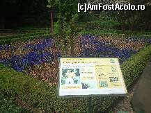 [P07] Din loc in loc pancarte cu fel si fel de explicatii. » foto by alinaro
 - 
<span class="allrVoted glyphicon glyphicon-heart hidden" id="av325433"></span>
<a class="m-l-10 hidden" id="sv325433" onclick="voting_Foto_DelVot(,325433,2442)" role="button">șterge vot <span class="glyphicon glyphicon-remove"></span></a>
<a id="v9325433" class=" c-red"  onclick="voting_Foto_SetVot(325433)" role="button"><span class="glyphicon glyphicon-heart-empty"></span> <b>LIKE</b> = Votează poza</a> <img class="hidden"  id="f325433W9" src="/imagini/loader.gif" border="0" /><span class="AjErrMes hidden" id="e325433ErM"></span>