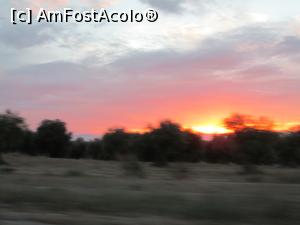[P07] incerc sa imi mai indulcesc viata cu un apus de soare...  » foto by adri-nico
 - 
<span class="allrVoted glyphicon glyphicon-heart hidden" id="av850272"></span>
<a class="m-l-10 hidden" id="sv850272" onclick="voting_Foto_DelVot(,850272,2442)" role="button">șterge vot <span class="glyphicon glyphicon-remove"></span></a>
<a id="v9850272" class=" c-red"  onclick="voting_Foto_SetVot(850272)" role="button"><span class="glyphicon glyphicon-heart-empty"></span> <b>LIKE</b> = Votează poza</a> <img class="hidden"  id="f850272W9" src="/imagini/loader.gif" border="0" /><span class="AjErrMes hidden" id="e850272ErM"></span>