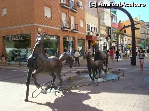 [P11] calutii din Torrejon » foto by bogdanescu07
 - 
<span class="allrVoted glyphicon glyphicon-heart hidden" id="av619721"></span>
<a class="m-l-10 hidden" id="sv619721" onclick="voting_Foto_DelVot(,619721,2442)" role="button">șterge vot <span class="glyphicon glyphicon-remove"></span></a>
<a id="v9619721" class=" c-red"  onclick="voting_Foto_SetVot(619721)" role="button"><span class="glyphicon glyphicon-heart-empty"></span> <b>LIKE</b> = Votează poza</a> <img class="hidden"  id="f619721W9" src="/imagini/loader.gif" border="0" /><span class="AjErrMes hidden" id="e619721ErM"></span>