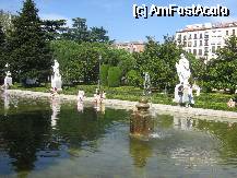 [P25] in parc » foto by adaiulia
 - 
<span class="allrVoted glyphicon glyphicon-heart hidden" id="av72757"></span>
<a class="m-l-10 hidden" id="sv72757" onclick="voting_Foto_DelVot(,72757,2442)" role="button">șterge vot <span class="glyphicon glyphicon-remove"></span></a>
<a id="v972757" class=" c-red"  onclick="voting_Foto_SetVot(72757)" role="button"><span class="glyphicon glyphicon-heart-empty"></span> <b>LIKE</b> = Votează poza</a> <img class="hidden"  id="f72757W9" src="/imagini/loader.gif" border="0" /><span class="AjErrMes hidden" id="e72757ErM"></span>