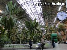 [P01] Gara Atocha, ca o jungla tropicala si cu pestisori si broaste testoase care traiesc in apa din micutele 'laculete'. » foto by spezam
 - 
<span class="allrVoted glyphicon glyphicon-heart hidden" id="av72233"></span>
<a class="m-l-10 hidden" id="sv72233" onclick="voting_Foto_DelVot(,72233,2442)" role="button">șterge vot <span class="glyphicon glyphicon-remove"></span></a>
<a id="v972233" class=" c-red"  onclick="voting_Foto_SetVot(72233)" role="button"><span class="glyphicon glyphicon-heart-empty"></span> <b>LIKE</b> = Votează poza</a> <img class="hidden"  id="f72233W9" src="/imagini/loader.gif" border="0" /><span class="AjErrMes hidden" id="e72233ErM"></span>