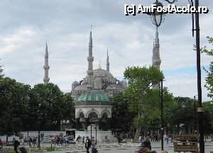 [P01] Moscheea albastra- simbol al Istanbulului turistic » foto by alb1573
 - 
<span class="allrVoted glyphicon glyphicon-heart hidden" id="av507795"></span>
<a class="m-l-10 hidden" id="sv507795" onclick="voting_Foto_DelVot(,507795,2468)" role="button">șterge vot <span class="glyphicon glyphicon-remove"></span></a>
<a id="v9507795" class=" c-red"  onclick="voting_Foto_SetVot(507795)" role="button"><span class="glyphicon glyphicon-heart-empty"></span> <b>LIKE</b> = Votează poza</a> <img class="hidden"  id="f507795W9" src="/imagini/loader.gif" border="0" /><span class="AjErrMes hidden" id="e507795ErM"></span>