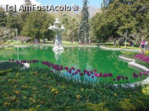 [P10] Gradina Dolmabahçe » foto by Alexa90
 - 
<span class="allrVoted glyphicon glyphicon-heart hidden" id="av1082746"></span>
<a class="m-l-10 hidden" id="sv1082746" onclick="voting_Foto_DelVot(,1082746,2468)" role="button">șterge vot <span class="glyphicon glyphicon-remove"></span></a>
<a id="v91082746" class=" c-red"  onclick="voting_Foto_SetVot(1082746)" role="button"><span class="glyphicon glyphicon-heart-empty"></span> <b>LIKE</b> = Votează poza</a> <img class="hidden"  id="f1082746W9" src="/imagini/loader.gif" border="0" /><span class="AjErrMes hidden" id="e1082746ErM"></span>