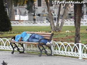 [P03] Avem şi noi, au şi ei...  » foto by cloverina
 - 
<span class="allrVoted glyphicon glyphicon-heart hidden" id="av526789"></span>
<a class="m-l-10 hidden" id="sv526789" onclick="voting_Foto_DelVot(,526789,2468)" role="button">șterge vot <span class="glyphicon glyphicon-remove"></span></a>
<a id="v9526789" class=" c-red"  onclick="voting_Foto_SetVot(526789)" role="button"><span class="glyphicon glyphicon-heart-empty"></span> <b>LIKE</b> = Votează poza</a> <img class="hidden"  id="f526789W9" src="/imagini/loader.gif" border="0" /><span class="AjErrMes hidden" id="e526789ErM"></span>