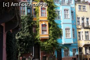 [P10] Cartierul Balat » foto by catrinel
 - 
<span class="allrVoted glyphicon glyphicon-heart hidden" id="av1355680"></span>
<a class="m-l-10 hidden" id="sv1355680" onclick="voting_Foto_DelVot(,1355680,2468)" role="button">șterge vot <span class="glyphicon glyphicon-remove"></span></a>
<a id="v91355680" class=" c-red"  onclick="voting_Foto_SetVot(1355680)" role="button"><span class="glyphicon glyphicon-heart-empty"></span> <b>LIKE</b> = Votează poza</a> <img class="hidden"  id="f1355680W9" src="/imagini/loader.gif" border="0" /><span class="AjErrMes hidden" id="e1355680ErM"></span>