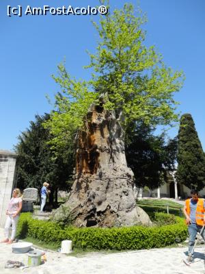[P24] Topkapi » foto by titus29
 - 
<span class="allrVoted glyphicon glyphicon-heart hidden" id="av1048065"></span>
<a class="m-l-10 hidden" id="sv1048065" onclick="voting_Foto_DelVot(,1048065,2468)" role="button">șterge vot <span class="glyphicon glyphicon-remove"></span></a>
<a id="v91048065" class=" c-red"  onclick="voting_Foto_SetVot(1048065)" role="button"><span class="glyphicon glyphicon-heart-empty"></span> <b>LIKE</b> = Votează poza</a> <img class="hidden"  id="f1048065W9" src="/imagini/loader.gif" border="0" /><span class="AjErrMes hidden" id="e1048065ErM"></span>