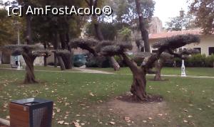 [P50] Parcul Gulhane » foto by titus29
 - 
<span class="allrVoted glyphicon glyphicon-heart hidden" id="av1048190"></span>
<a class="m-l-10 hidden" id="sv1048190" onclick="voting_Foto_DelVot(,1048190,2468)" role="button">șterge vot <span class="glyphicon glyphicon-remove"></span></a>
<a id="v91048190" class=" c-red"  onclick="voting_Foto_SetVot(1048190)" role="button"><span class="glyphicon glyphicon-heart-empty"></span> <b>LIKE</b> = Votează poza</a> <img class="hidden"  id="f1048190W9" src="/imagini/loader.gif" border="0" /><span class="AjErrMes hidden" id="e1048190ErM"></span>