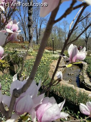 [P58] Magnolii si lalele in parcul Emirgan » foto by aurora56
 - 
<span class="allrVoted glyphicon glyphicon-heart hidden" id="av1296239"></span>
<a class="m-l-10 hidden" id="sv1296239" onclick="voting_Foto_DelVot(,1296239,2468)" role="button">șterge vot <span class="glyphicon glyphicon-remove"></span></a>
<a id="v91296239" class=" c-red"  onclick="voting_Foto_SetVot(1296239)" role="button"><span class="glyphicon glyphicon-heart-empty"></span> <b>LIKE</b> = Votează poza</a> <img class="hidden"  id="f1296239W9" src="/imagini/loader.gif" border="0" /><span class="AjErrMes hidden" id="e1296239ErM"></span>