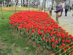 [P22] Roșu = iubire » foto by puiutea
 - 
<span class="allrVoted glyphicon glyphicon-heart hidden" id="av1362671"></span>
<a class="m-l-10 hidden" id="sv1362671" onclick="voting_Foto_DelVot(,1362671,2468)" role="button">șterge vot <span class="glyphicon glyphicon-remove"></span></a>
<a id="v91362671" class=" c-red"  onclick="voting_Foto_SetVot(1362671)" role="button"><span class="glyphicon glyphicon-heart-empty"></span> <b>LIKE</b> = Votează poza</a> <img class="hidden"  id="f1362671W9" src="/imagini/loader.gif" border="0" /><span class="AjErrMes hidden" id="e1362671ErM"></span>