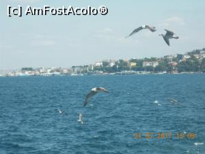 [P16] Pe drumul spre Istanbul.  » foto by elviramvio
 - 
<span class="allrVoted glyphicon glyphicon-heart hidden" id="av880208"></span>
<a class="m-l-10 hidden" id="sv880208" onclick="voting_Foto_DelVot(,880208,2468)" role="button">șterge vot <span class="glyphicon glyphicon-remove"></span></a>
<a id="v9880208" class=" c-red"  onclick="voting_Foto_SetVot(880208)" role="button"><span class="glyphicon glyphicon-heart-empty"></span> <b>LIKE</b> = Votează poza</a> <img class="hidden"  id="f880208W9" src="/imagini/loader.gif" border="0" /><span class="AjErrMes hidden" id="e880208ErM"></span>