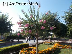 [P07] Flori.  » foto by elviramvio
 - 
<span class="allrVoted glyphicon glyphicon-heart hidden" id="av880181"></span>
<a class="m-l-10 hidden" id="sv880181" onclick="voting_Foto_DelVot(,880181,2468)" role="button">șterge vot <span class="glyphicon glyphicon-remove"></span></a>
<a id="v9880181" class=" c-red"  onclick="voting_Foto_SetVot(880181)" role="button"><span class="glyphicon glyphicon-heart-empty"></span> <b>LIKE</b> = Votează poza</a> <img class="hidden"  id="f880181W9" src="/imagini/loader.gif" border="0" /><span class="AjErrMes hidden" id="e880181ErM"></span>