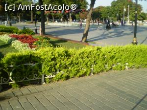 [P04] In parcul de lângă Sultanahmed » foto by Mihai18
 - 
<span class="allrVoted glyphicon glyphicon-heart hidden" id="av764081"></span>
<a class="m-l-10 hidden" id="sv764081" onclick="voting_Foto_DelVot(,764081,2468)" role="button">șterge vot <span class="glyphicon glyphicon-remove"></span></a>
<a id="v9764081" class=" c-red"  onclick="voting_Foto_SetVot(764081)" role="button"><span class="glyphicon glyphicon-heart-empty"></span> <b>LIKE</b> = Votează poza</a> <img class="hidden"  id="f764081W9" src="/imagini/loader.gif" border="0" /><span class="AjErrMes hidden" id="e764081ErM"></span>