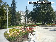 [P01] Aranjament floral din gradina palatului Dolmabache » foto by Maria Smeu
 - 
<span class="allrVoted glyphicon glyphicon-heart hidden" id="av65325"></span>
<a class="m-l-10 hidden" id="sv65325" onclick="voting_Foto_DelVot(,65325,2468)" role="button">șterge vot <span class="glyphicon glyphicon-remove"></span></a>
<a id="v965325" class=" c-red"  onclick="voting_Foto_SetVot(65325)" role="button"><span class="glyphicon glyphicon-heart-empty"></span> <b>LIKE</b> = Votează poza</a> <img class="hidden"  id="f65325W9" src="/imagini/loader.gif" border="0" /><span class="AjErrMes hidden" id="e65325ErM"></span>