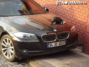 [P17] 'Mi-am tras BMW! ' » foto by irinad
 - 
<span class="allrVoted glyphicon glyphicon-heart hidden" id="av690644"></span>
<a class="m-l-10 hidden" id="sv690644" onclick="voting_Foto_DelVot(,690644,2468)" role="button">șterge vot <span class="glyphicon glyphicon-remove"></span></a>
<a id="v9690644" class=" c-red"  onclick="voting_Foto_SetVot(690644)" role="button"><span class="glyphicon glyphicon-heart-empty"></span> <b>LIKE</b> = Votează poza</a> <img class="hidden"  id="f690644W9" src="/imagini/loader.gif" border="0" /><span class="AjErrMes hidden" id="e690644ErM"></span>