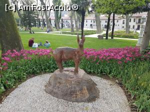 [P22] O frumoasă statuie dintr-un platan uscat.  » foto by sebigeanina
 - 
<span class="allrVoted glyphicon glyphicon-heart hidden" id="av1076670"></span>
<a class="m-l-10 hidden" id="sv1076670" onclick="voting_Foto_DelVot(,1076670,2468)" role="button">șterge vot <span class="glyphicon glyphicon-remove"></span></a>
<a id="v91076670" class=" c-red"  onclick="voting_Foto_SetVot(1076670)" role="button"><span class="glyphicon glyphicon-heart-empty"></span> <b>LIKE</b> = Votează poza</a> <img class="hidden"  id="f1076670W9" src="/imagini/loader.gif" border="0" /><span class="AjErrMes hidden" id="e1076670ErM"></span>