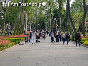 [P23] Aleea principală din parc.  » foto by sebigeanina
 - 
<span class="allrVoted glyphicon glyphicon-heart hidden" id="av1076671"></span>
<a class="m-l-10 hidden" id="sv1076671" onclick="voting_Foto_DelVot(,1076671,2468)" role="button">șterge vot <span class="glyphicon glyphicon-remove"></span></a>
<a id="v91076671" class=" c-red"  onclick="voting_Foto_SetVot(1076671)" role="button"><span class="glyphicon glyphicon-heart-empty"></span> <b>LIKE</b> = Votează poza</a> <img class="hidden"  id="f1076671W9" src="/imagini/loader.gif" border="0" /><span class="AjErrMes hidden" id="e1076671ErM"></span>