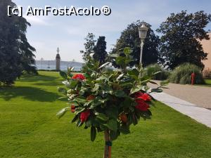 [P05] O frumusețe de flori.  » foto by sebigeanina
 - 
<span class="allrVoted glyphicon glyphicon-heart hidden" id="av1076653"></span>
<a class="m-l-10 hidden" id="sv1076653" onclick="voting_Foto_DelVot(,1076653,2468)" role="button">șterge vot <span class="glyphicon glyphicon-remove"></span></a>
<a id="v91076653" class=" c-red"  onclick="voting_Foto_SetVot(1076653)" role="button"><span class="glyphicon glyphicon-heart-empty"></span> <b>LIKE</b> = Votează poza</a> <img class="hidden"  id="f1076653W9" src="/imagini/loader.gif" border="0" /><span class="AjErrMes hidden" id="e1076653ErM"></span>
