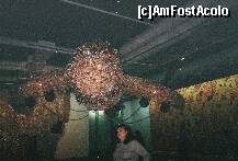 [P04] Avionul ultramodernist cu ..foarfeci » foto by liviadavidescu
 - 
<span class="allrVoted glyphicon glyphicon-heart hidden" id="av149408"></span>
<a class="m-l-10 hidden" id="sv149408" onclick="voting_Foto_DelVot(,149408,2491)" role="button">șterge vot <span class="glyphicon glyphicon-remove"></span></a>
<a id="v9149408" class=" c-red"  onclick="voting_Foto_SetVot(149408)" role="button"><span class="glyphicon glyphicon-heart-empty"></span> <b>LIKE</b> = Votează poza</a> <img class="hidden"  id="f149408W9" src="/imagini/loader.gif" border="0" /><span class="AjErrMes hidden" id="e149408ErM"></span>
