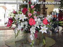 [P11] aranjament floral din holul receptiei (flori naturale!!!) » foto by SimonaL
 - 
<span class="allrVoted glyphicon glyphicon-heart hidden" id="av243938"></span>
<a class="m-l-10 hidden" id="sv243938" onclick="voting_Foto_DelVot(,243938,2498)" role="button">șterge vot <span class="glyphicon glyphicon-remove"></span></a>
<a id="v9243938" class=" c-red"  onclick="voting_Foto_SetVot(243938)" role="button"><span class="glyphicon glyphicon-heart-empty"></span> <b>LIKE</b> = Votează poza</a> <img class="hidden"  id="f243938W9" src="/imagini/loader.gif" border="0" /><span class="AjErrMes hidden" id="e243938ErM"></span>