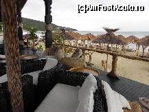 [P15] barul de pe plaja » foto by SimonaL
 - 
<span class="allrVoted glyphicon glyphicon-heart hidden" id="av243942"></span>
<a class="m-l-10 hidden" id="sv243942" onclick="voting_Foto_DelVot(,243942,2498)" role="button">șterge vot <span class="glyphicon glyphicon-remove"></span></a>
<a id="v9243942" class=" c-red"  onclick="voting_Foto_SetVot(243942)" role="button"><span class="glyphicon glyphicon-heart-empty"></span> <b>LIKE</b> = Votează poza</a> <img class="hidden"  id="f243942W9" src="/imagini/loader.gif" border="0" /><span class="AjErrMes hidden" id="e243942ErM"></span>