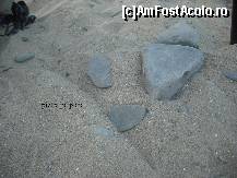 [P24] nisip mai mare » foto by GEORGEMM
 - 
<span class="allrVoted glyphicon glyphicon-heart hidden" id="av364212"></span>
<a class="m-l-10 hidden" id="sv364212" onclick="voting_Foto_DelVot(,364212,2498)" role="button">șterge vot <span class="glyphicon glyphicon-remove"></span></a>
<a id="v9364212" class=" c-red"  onclick="voting_Foto_SetVot(364212)" role="button"><span class="glyphicon glyphicon-heart-empty"></span> <b>LIKE</b> = Votează poza</a> <img class="hidden"  id="f364212W9" src="/imagini/loader.gif" border="0" /><span class="AjErrMes hidden" id="e364212ErM"></span>