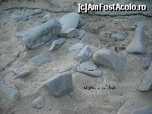 [P26]  -- <small>// FĂRĂ DESCRIERE</small> » foto by GEORGEMM
 - 
<span class="allrVoted glyphicon glyphicon-heart hidden" id="av364214"></span>
<a class="m-l-10 hidden" id="sv364214" onclick="voting_Foto_DelVot(,364214,2498)" role="button">șterge vot <span class="glyphicon glyphicon-remove"></span></a>
<a id="v9364214" class=" c-red"  onclick="voting_Foto_SetVot(364214)" role="button"><span class="glyphicon glyphicon-heart-empty"></span> <b>LIKE</b> = Votează poza</a> <img class="hidden"  id="f364214W9" src="/imagini/loader.gif" border="0" /><span class="AjErrMes hidden" id="e364214ErM"></span>