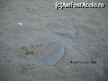 [P27]  -- <small>// FĂRĂ DESCRIERE</small> » foto by GEORGEMM
 - 
<span class="allrVoted glyphicon glyphicon-heart hidden" id="av364215"></span>
<a class="m-l-10 hidden" id="sv364215" onclick="voting_Foto_DelVot(,364215,2498)" role="button">șterge vot <span class="glyphicon glyphicon-remove"></span></a>
<a id="v9364215" class=" c-red"  onclick="voting_Foto_SetVot(364215)" role="button"><span class="glyphicon glyphicon-heart-empty"></span> <b>LIKE</b> = Votează poza</a> <img class="hidden"  id="f364215W9" src="/imagini/loader.gif" border="0" /><span class="AjErrMes hidden" id="e364215ErM"></span>