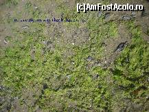 [P37]  -- <small>// FĂRĂ DESCRIERE</small> » foto by GEORGEMM
 - 
<span class="allrVoted glyphicon glyphicon-heart hidden" id="av364225"></span>
<a class="m-l-10 hidden" id="sv364225" onclick="voting_Foto_DelVot(,364225,2498)" role="button">șterge vot <span class="glyphicon glyphicon-remove"></span></a>
<a id="v9364225" class=" c-red"  onclick="voting_Foto_SetVot(364225)" role="button"><span class="glyphicon glyphicon-heart-empty"></span> <b>LIKE</b> = Votează poza</a> <img class="hidden"  id="f364225W9" src="/imagini/loader.gif" border="0" /><span class="AjErrMes hidden" id="e364225ErM"></span>