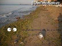 [P83]  -- <small>// FĂRĂ DESCRIERE</small> » foto by GEORGEMM
 - 
<span class="allrVoted glyphicon glyphicon-heart hidden" id="av364271"></span>
<a class="m-l-10 hidden" id="sv364271" onclick="voting_Foto_DelVot(,364271,2498)" role="button">șterge vot <span class="glyphicon glyphicon-remove"></span></a>
<a id="v9364271" class=" c-red"  onclick="voting_Foto_SetVot(364271)" role="button"><span class="glyphicon glyphicon-heart-empty"></span> <b>LIKE</b> = Votează poza</a> <img class="hidden"  id="f364271W9" src="/imagini/loader.gif" border="0" /><span class="AjErrMes hidden" id="e364271ErM"></span>