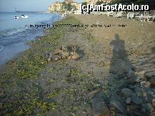 [P86]  -- <small>// FĂRĂ DESCRIERE</small> » foto by GEORGEMM
 - 
<span class="allrVoted glyphicon glyphicon-heart hidden" id="av364274"></span>
<a class="m-l-10 hidden" id="sv364274" onclick="voting_Foto_DelVot(,364274,2498)" role="button">șterge vot <span class="glyphicon glyphicon-remove"></span></a>
<a id="v9364274" class=" c-red"  onclick="voting_Foto_SetVot(364274)" role="button"><span class="glyphicon glyphicon-heart-empty"></span> <b>LIKE</b> = Votează poza</a> <img class="hidden"  id="f364274W9" src="/imagini/loader.gif" border="0" /><span class="AjErrMes hidden" id="e364274ErM"></span>