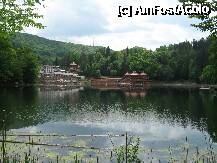 [P04]  -- <small>// FĂRĂ DESCRIERE</small> » foto by rsimona
 - 
<span class="allrVoted glyphicon glyphicon-heart hidden" id="av209111"></span>
<a class="m-l-10 hidden" id="sv209111" onclick="voting_Foto_DelVot(,209111,2499)" role="button">șterge vot <span class="glyphicon glyphicon-remove"></span></a>
<a id="v9209111" class=" c-red"  onclick="voting_Foto_SetVot(209111)" role="button"><span class="glyphicon glyphicon-heart-empty"></span> <b>LIKE</b> = Votează poza</a> <img class="hidden"  id="f209111W9" src="/imagini/loader.gif" border="0" /><span class="AjErrMes hidden" id="e209111ErM"></span>