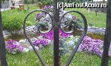 [P24] Din Sovata Băi, cu dragoste » foto by cri_zina
 - 
<span class="allrVoted glyphicon glyphicon-heart hidden" id="av416832"></span>
<a class="m-l-10 hidden" id="sv416832" onclick="voting_Foto_DelVot(,416832,2499)" role="button">șterge vot <span class="glyphicon glyphicon-remove"></span></a>
<a id="v9416832" class=" c-red"  onclick="voting_Foto_SetVot(416832)" role="button"><span class="glyphicon glyphicon-heart-empty"></span> <b>LIKE</b> = Votează poza</a> <img class="hidden"  id="f416832W9" src="/imagini/loader.gif" border="0" /><span class="AjErrMes hidden" id="e416832ErM"></span>