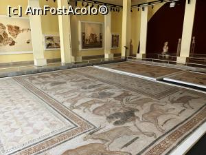 [P35] O adevărată capodoperă acest mozaic imens reprezentând animale » foto by AZE
 - 
<span class="allrVoted glyphicon glyphicon-heart hidden" id="av1320650"></span>
<a class="m-l-10 hidden" id="sv1320650" onclick="voting_Foto_DelVot(,1320650,2508)" role="button">șterge vot <span class="glyphicon glyphicon-remove"></span></a>
<a id="v91320650" class=" c-red"  onclick="voting_Foto_SetVot(1320650)" role="button"><span class="glyphicon glyphicon-heart-empty"></span> <b>LIKE</b> = Votează poza</a> <img class="hidden"  id="f1320650W9" src="/imagini/loader.gif" border="0" /><span class="AjErrMes hidden" id="e1320650ErM"></span>