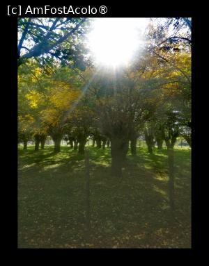 [P01]  -- <small>// FĂRĂ DESCRIERE</small> » foto by Cristian_h
 - 
<span class="allrVoted glyphicon glyphicon-heart hidden" id="av1504783"></span>
<a class="m-l-10 hidden" id="sv1504783" onclick="voting_Foto_DelVot(,1504783,2510)" role="button">șterge vot <span class="glyphicon glyphicon-remove"></span></a>
<a id="v91504783" class=" c-red"  onclick="voting_Foto_SetVot(1504783)" role="button"><span class="glyphicon glyphicon-heart-empty"></span> <b>LIKE</b> = Votează poza</a> <img class="hidden"  id="f1504783W9" src="/imagini/loader.gif" border="0" /><span class="AjErrMes hidden" id="e1504783ErM"></span>