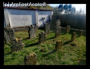 [P03]  -- <small>// FĂRĂ DESCRIERE</small> » foto by Cristian_h
 - 
<span class="allrVoted glyphicon glyphicon-heart hidden" id="av1504785"></span>
<a class="m-l-10 hidden" id="sv1504785" onclick="voting_Foto_DelVot(,1504785,2510)" role="button">șterge vot <span class="glyphicon glyphicon-remove"></span></a>
<a id="v91504785" class=" c-red"  onclick="voting_Foto_SetVot(1504785)" role="button"><span class="glyphicon glyphicon-heart-empty"></span> <b>LIKE</b> = Votează poza</a> <img class="hidden"  id="f1504785W9" src="/imagini/loader.gif" border="0" /><span class="AjErrMes hidden" id="e1504785ErM"></span>