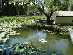 [P13] Parcul Romanescu... o oază de relaxare.  » foto by mireille
 - 
<span class="allrVoted glyphicon glyphicon-heart hidden" id="av871563"></span>
<a class="m-l-10 hidden" id="sv871563" onclick="voting_Foto_DelVot(,871563,2510)" role="button">șterge vot <span class="glyphicon glyphicon-remove"></span></a>
<a id="v9871563" class=" c-red"  onclick="voting_Foto_SetVot(871563)" role="button"><span class="glyphicon glyphicon-heart-empty"></span> <b>LIKE</b> = Votează poza</a> <img class="hidden"  id="f871563W9" src="/imagini/loader.gif" border="0" /><span class="AjErrMes hidden" id="e871563ErM"></span>