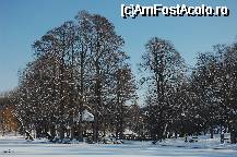 [P02] Parcul Romanescu din Craiova - insula de pe lac - varianta de iarna » foto by paunflorin
 - 
<span class="allrVoted glyphicon glyphicon-heart hidden" id="av42637"></span>
<a class="m-l-10 hidden" id="sv42637" onclick="voting_Foto_DelVot(,42637,2510)" role="button">șterge vot <span class="glyphicon glyphicon-remove"></span></a>
<a id="v942637" class=" c-red"  onclick="voting_Foto_SetVot(42637)" role="button"><span class="glyphicon glyphicon-heart-empty"></span> <b>LIKE</b> = Votează poza</a> <img class="hidden"  id="f42637W9" src="/imagini/loader.gif" border="0" /><span class="AjErrMes hidden" id="e42637ErM"></span>