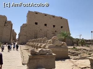 [P11] Templul Karnak » foto by patrice
 - 
<span class="allrVoted glyphicon glyphicon-heart hidden" id="av1093582"></span>
<a class="m-l-10 hidden" id="sv1093582" onclick="voting_Foto_DelVot(,1093582,2513)" role="button">șterge vot <span class="glyphicon glyphicon-remove"></span></a>
<a id="v91093582" class=" c-red"  onclick="voting_Foto_SetVot(1093582)" role="button"><span class="glyphicon glyphicon-heart-empty"></span> <b>LIKE</b> = Votează poza</a> <img class="hidden"  id="f1093582W9" src="/imagini/loader.gif" border="0" /><span class="AjErrMes hidden" id="e1093582ErM"></span>