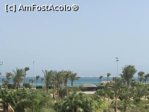 [P97] Steigenberger AlDau Beach - vedere din balcon » foto by nicole33
 - 
<span class="allrVoted glyphicon glyphicon-heart hidden" id="av1344965"></span>
<a class="m-l-10 hidden" id="sv1344965" onclick="voting_Foto_DelVot(,1344965,2513)" role="button">șterge vot <span class="glyphicon glyphicon-remove"></span></a>
<a id="v91344965" class=" c-red"  onclick="voting_Foto_SetVot(1344965)" role="button"><span class="glyphicon glyphicon-heart-empty"></span> <b>LIKE</b> = Votează poza</a> <img class="hidden"  id="f1344965W9" src="/imagini/loader.gif" border="0" /><span class="AjErrMes hidden" id="e1344965ErM"></span>