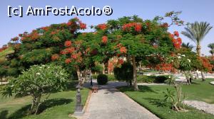[P17] frumosii copaci infloriti » foto by elenaadina
 - 
<span class="allrVoted glyphicon glyphicon-heart hidden" id="av1263531"></span>
<a class="m-l-10 hidden" id="sv1263531" onclick="voting_Foto_DelVot(,1263531,2513)" role="button">șterge vot <span class="glyphicon glyphicon-remove"></span></a>
<a id="v91263531" class=" c-red"  onclick="voting_Foto_SetVot(1263531)" role="button"><span class="glyphicon glyphicon-heart-empty"></span> <b>LIKE</b> = Votează poza</a> <img class="hidden"  id="f1263531W9" src="/imagini/loader.gif" border="0" /><span class="AjErrMes hidden" id="e1263531ErM"></span>
