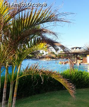 [P03] Barul din piscină » foto by Popa Ella
 - 
<span class="allrVoted glyphicon glyphicon-heart hidden" id="av1170598"></span>
<a class="m-l-10 hidden" id="sv1170598" onclick="voting_Foto_DelVot(,1170598,2513)" role="button">șterge vot <span class="glyphicon glyphicon-remove"></span></a>
<a id="v91170598" class=" c-red"  onclick="voting_Foto_SetVot(1170598)" role="button"><span class="glyphicon glyphicon-heart-empty"></span> <b>LIKE</b> = Votează poza</a> <img class="hidden"  id="f1170598W9" src="/imagini/loader.gif" border="0" /><span class="AjErrMes hidden" id="e1170598ErM"></span>