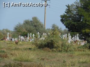 [P30] Sulina - Cimitirul Comisiei Europene a Dunării. Cimitirul lipovenesc.  » foto by iulianic
 - 
<span class="allrVoted glyphicon glyphicon-heart hidden" id="av1107231"></span>
<a class="m-l-10 hidden" id="sv1107231" onclick="voting_Foto_DelVot(,1107231,2514)" role="button">șterge vot <span class="glyphicon glyphicon-remove"></span></a>
<a id="v91107231" class=" c-red"  onclick="voting_Foto_SetVot(1107231)" role="button"><span class="glyphicon glyphicon-heart-empty"></span> <b>LIKE</b> = Votează poza</a> <img class="hidden"  id="f1107231W9" src="/imagini/loader.gif" border="0" /><span class="AjErrMes hidden" id="e1107231ErM"></span>
