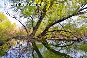 [P19] Excursie pe lacuri și canale » foto by pepsi70ro
 - 
<span class="allrVoted glyphicon glyphicon-heart hidden" id="av1429205"></span>
<a class="m-l-10 hidden" id="sv1429205" onclick="voting_Foto_DelVot(,1429205,2514)" role="button">șterge vot <span class="glyphicon glyphicon-remove"></span></a>
<a id="v91429205" class=" c-red"  onclick="voting_Foto_SetVot(1429205)" role="button"><span class="glyphicon glyphicon-heart-empty"></span> <b>LIKE</b> = Votează poza</a> <img class="hidden"  id="f1429205W9" src="/imagini/loader.gif" border="0" /><span class="AjErrMes hidden" id="e1429205ErM"></span>