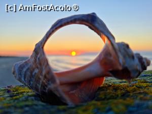 [P02] Răsărit la Sulina » foto by pepsi70ro
 - 
<span class="allrVoted glyphicon glyphicon-heart hidden" id="av1429188"></span>
<a class="m-l-10 hidden" id="sv1429188" onclick="voting_Foto_DelVot(,1429188,2514)" role="button">șterge vot <span class="glyphicon glyphicon-remove"></span></a>
<a id="v91429188" class=" c-red"  onclick="voting_Foto_SetVot(1429188)" role="button"><span class="glyphicon glyphicon-heart-empty"></span> <b>LIKE</b> = Votează poza</a> <img class="hidden"  id="f1429188W9" src="/imagini/loader.gif" border="0" /><span class="AjErrMes hidden" id="e1429188ErM"></span>