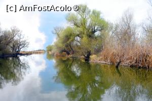 [P20] Excursie pe lacuri și canale » foto by pepsi70ro
 - 
<span class="allrVoted glyphicon glyphicon-heart hidden" id="av1429206"></span>
<a class="m-l-10 hidden" id="sv1429206" onclick="voting_Foto_DelVot(,1429206,2514)" role="button">șterge vot <span class="glyphicon glyphicon-remove"></span></a>
<a id="v91429206" class=" c-red"  onclick="voting_Foto_SetVot(1429206)" role="button"><span class="glyphicon glyphicon-heart-empty"></span> <b>LIKE</b> = Votează poza</a> <img class="hidden"  id="f1429206W9" src="/imagini/loader.gif" border="0" /><span class="AjErrMes hidden" id="e1429206ErM"></span>
