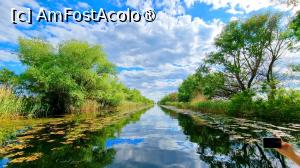 [P06] Excursie pe lacuri și canale » foto by pepsi70ro
 - 
<span class="allrVoted glyphicon glyphicon-heart hidden" id="av1429192"></span>
<a class="m-l-10 hidden" id="sv1429192" onclick="voting_Foto_DelVot(,1429192,2514)" role="button">șterge vot <span class="glyphicon glyphicon-remove"></span></a>
<a id="v91429192" class=" c-red"  onclick="voting_Foto_SetVot(1429192)" role="button"><span class="glyphicon glyphicon-heart-empty"></span> <b>LIKE</b> = Votează poza</a> <img class="hidden"  id="f1429192W9" src="/imagini/loader.gif" border="0" /><span class="AjErrMes hidden" id="e1429192ErM"></span>