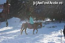 [P05] De apreciat faptul ca unii prefera caii in locul snowmobilelor » foto by alexandruduma
 - 
<span class="allrVoted glyphicon glyphicon-heart hidden" id="av22883"></span>
<a class="m-l-10 hidden" id="sv22883" onclick="voting_Foto_DelVot(,22883,2516)" role="button">șterge vot <span class="glyphicon glyphicon-remove"></span></a>
<a id="v922883" class=" c-red"  onclick="voting_Foto_SetVot(22883)" role="button"><span class="glyphicon glyphicon-heart-empty"></span> <b>LIKE</b> = Votează poza</a> <img class="hidden"  id="f22883W9" src="/imagini/loader.gif" border="0" /><span class="AjErrMes hidden" id="e22883ErM"></span>